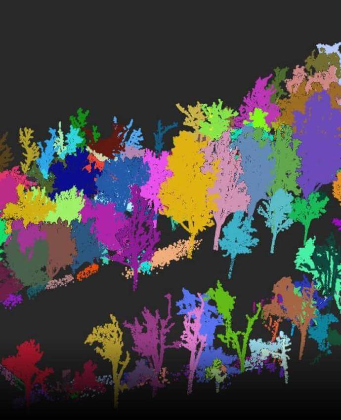 Лесное хозяйство