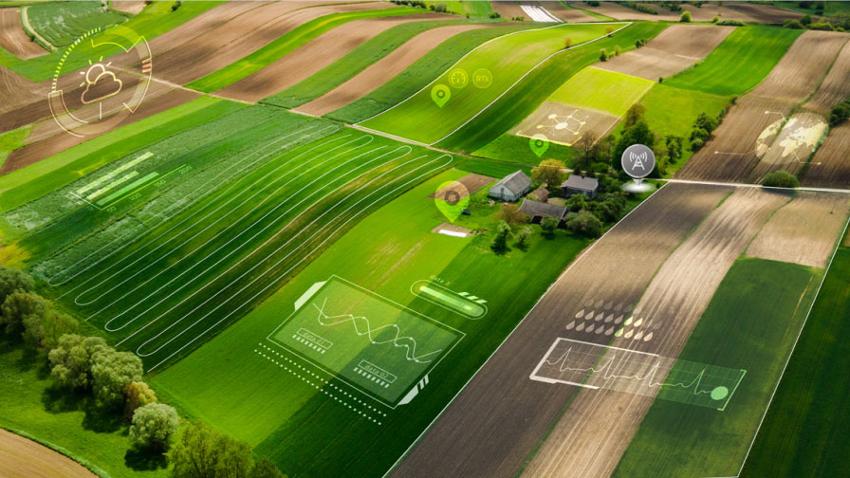 Сельское хозяйство